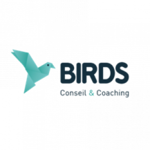 gallery/logo_birds